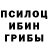 Галлюциногенные грибы прущие грибы Irina Bernatovich