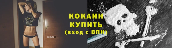 трава Пересвет
