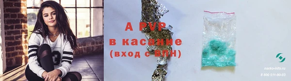 гашик Абаза