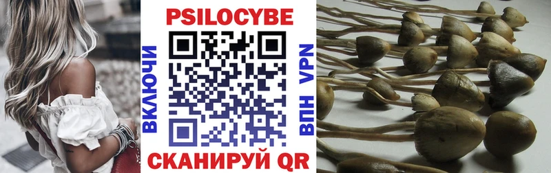 где можно купить наркотик  блэк спрут ТОР  Галлюциногенные грибы Cubensis  Барнаул 