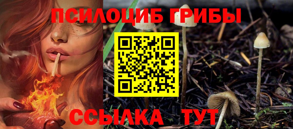 Псилоцибиновые грибы GOLDEN TEACHER  Вход с VPN  что такое   Барнаул 